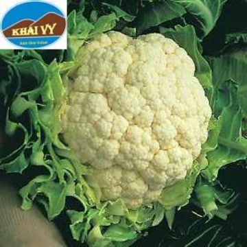 Cauliflower